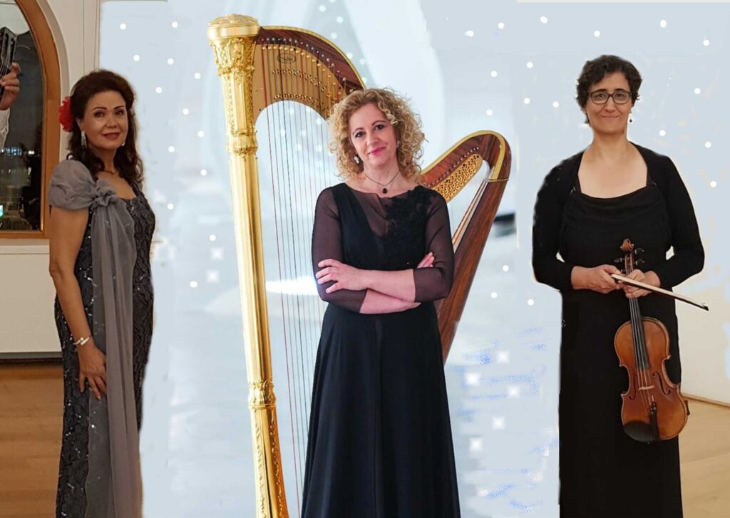 agrimona trio-2